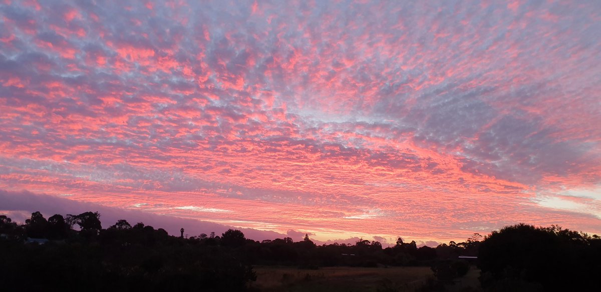 WendyBirdOZ's tweet photo. There are some days when you just have to stop and look at the sunset.
#WesternAustralia #sunsetstate https://t.co/xVwL2JzUhf