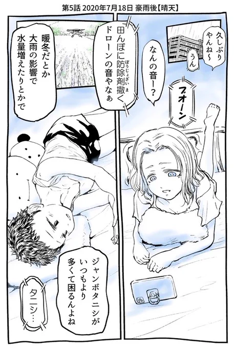 (5/5) 