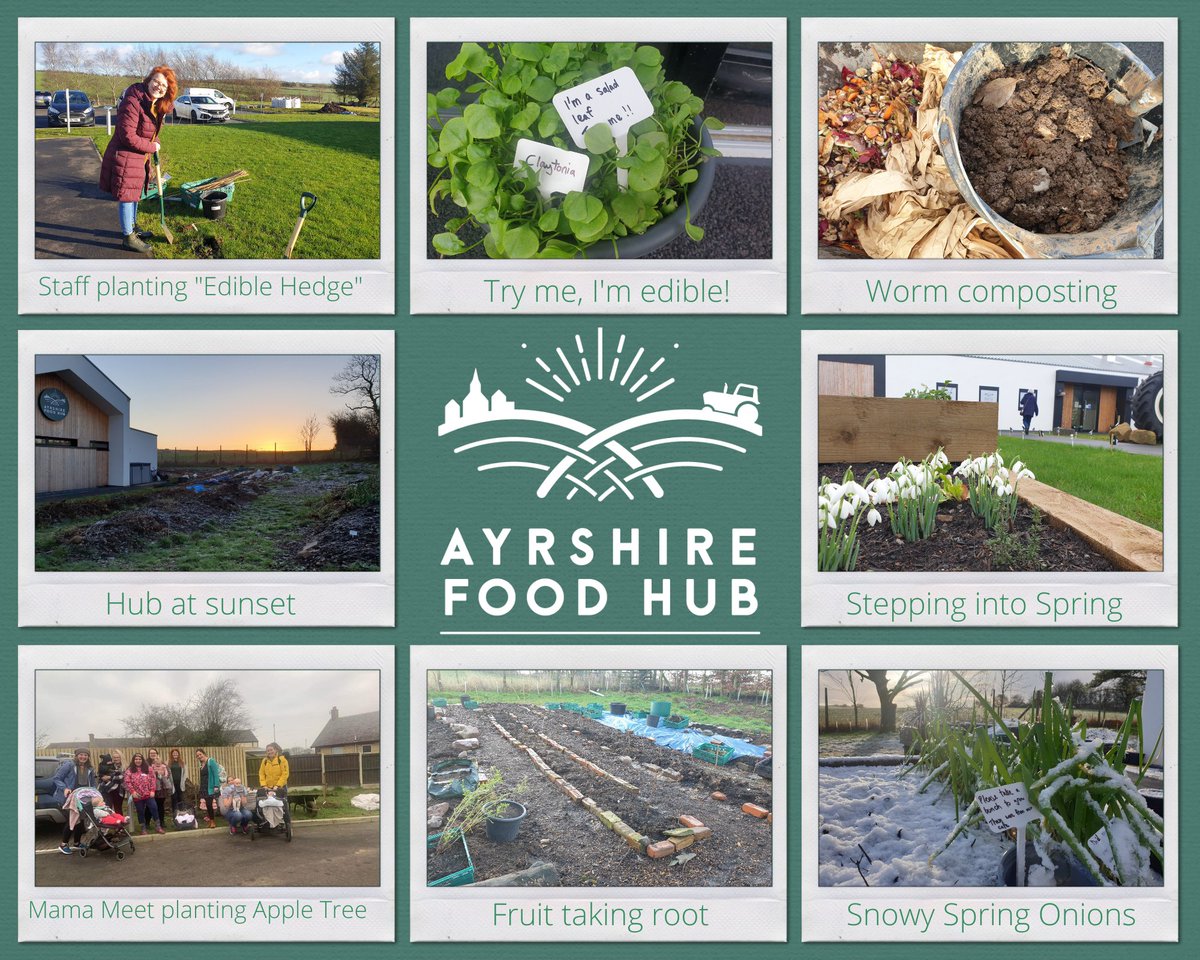 AyrshireFoodHub's tweet photo. Stepping into Spring!
Tracy &amp; team have been busy preparing for the upcoming growing season. 
#cafe #ayrshire #farmshop #community #growyourown #recycling https://t.co/j8RRWST42V