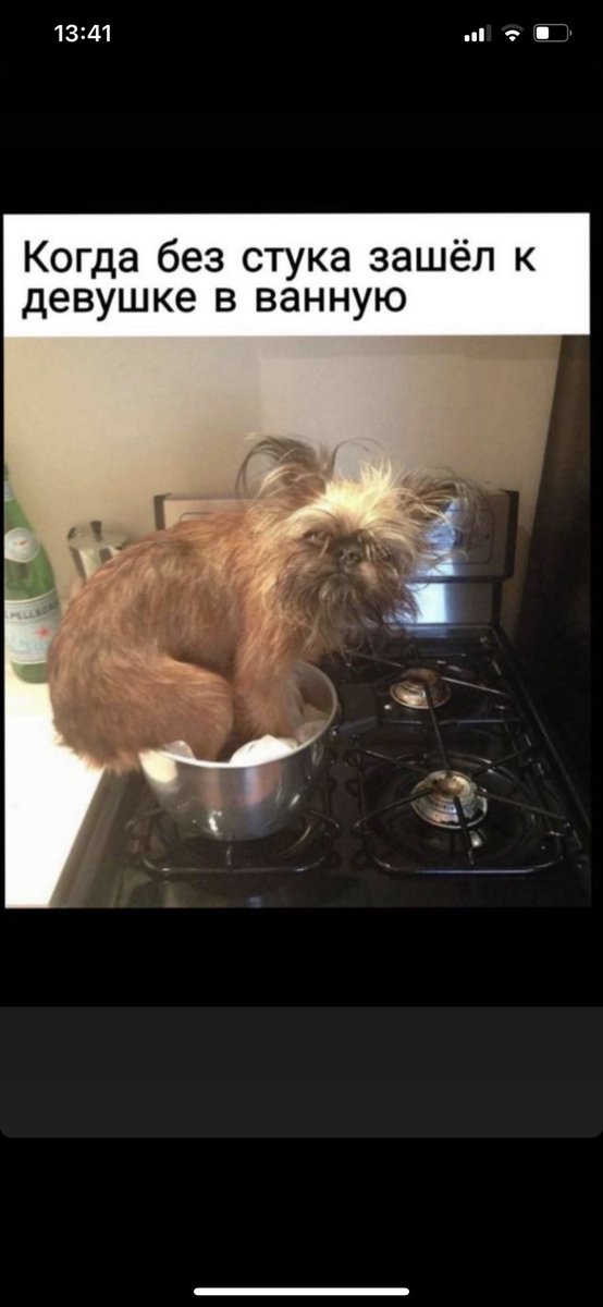 Кирилл (@kirillsmm) on Twitter photo 