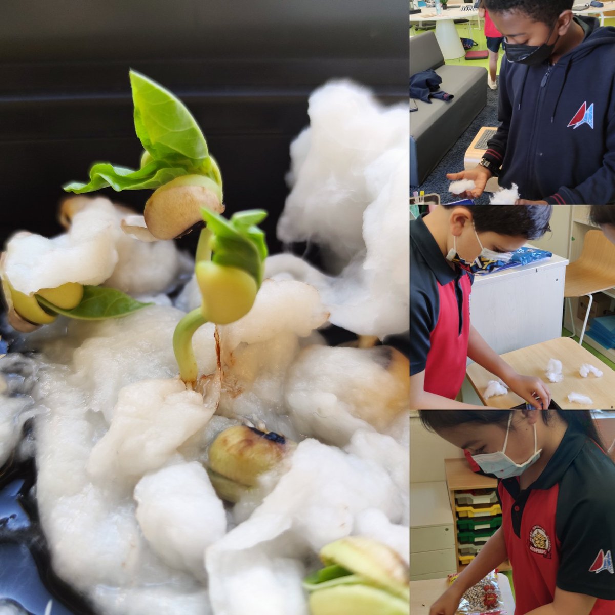 Clelia Cudlipp tweet media