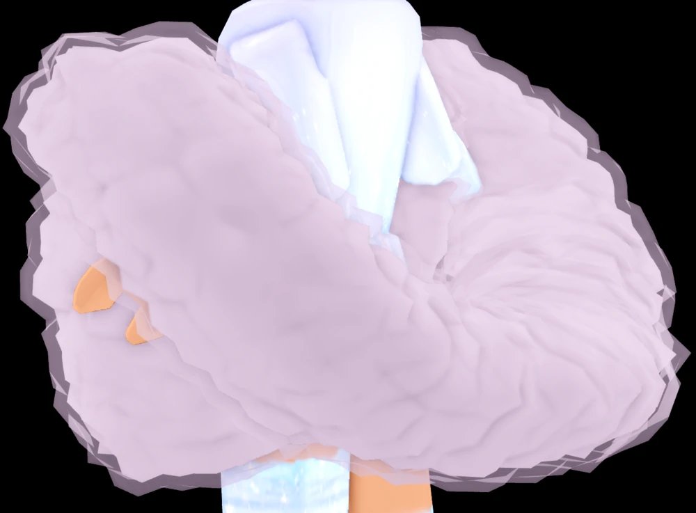 arth_shin's tweet photo. looking for this fur boa paying 40k for it
#royalehightrades #royalehightrading #royalehightrade #royalehightradings #royalehighoffers #royalehighselling #royalehighhalos https://t.co/T0LEZ20x6p