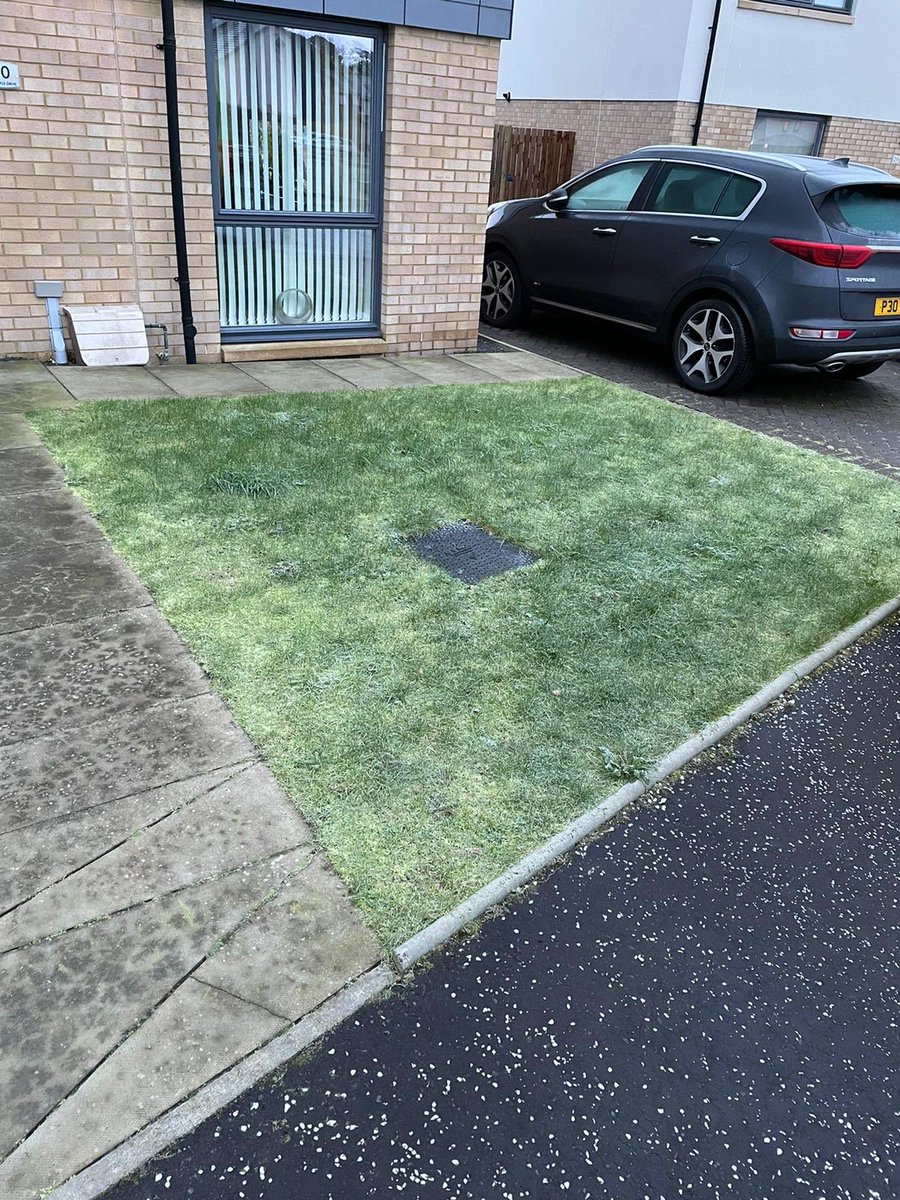 easiglasgow's tweet photo. Looking For that #kerb appeal for your front #garden 🥰 https://t.co/emn8WW2Rd5