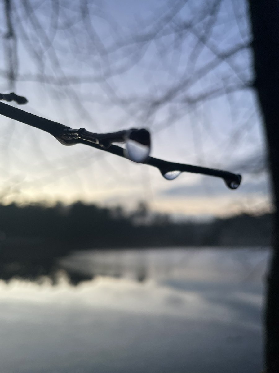 chrisbiehn's tweet photo. Whereโs your focus?
#7cab #nature #photography #rackfocus https://t.co/EC81vtHG5x