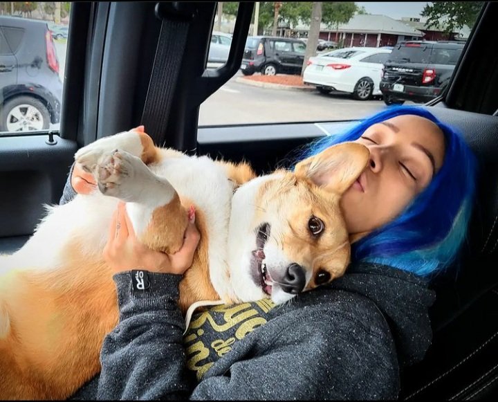 thelegitserena's tweet photo. They are so cute❤️ https://t.co/9QiPphDPu0