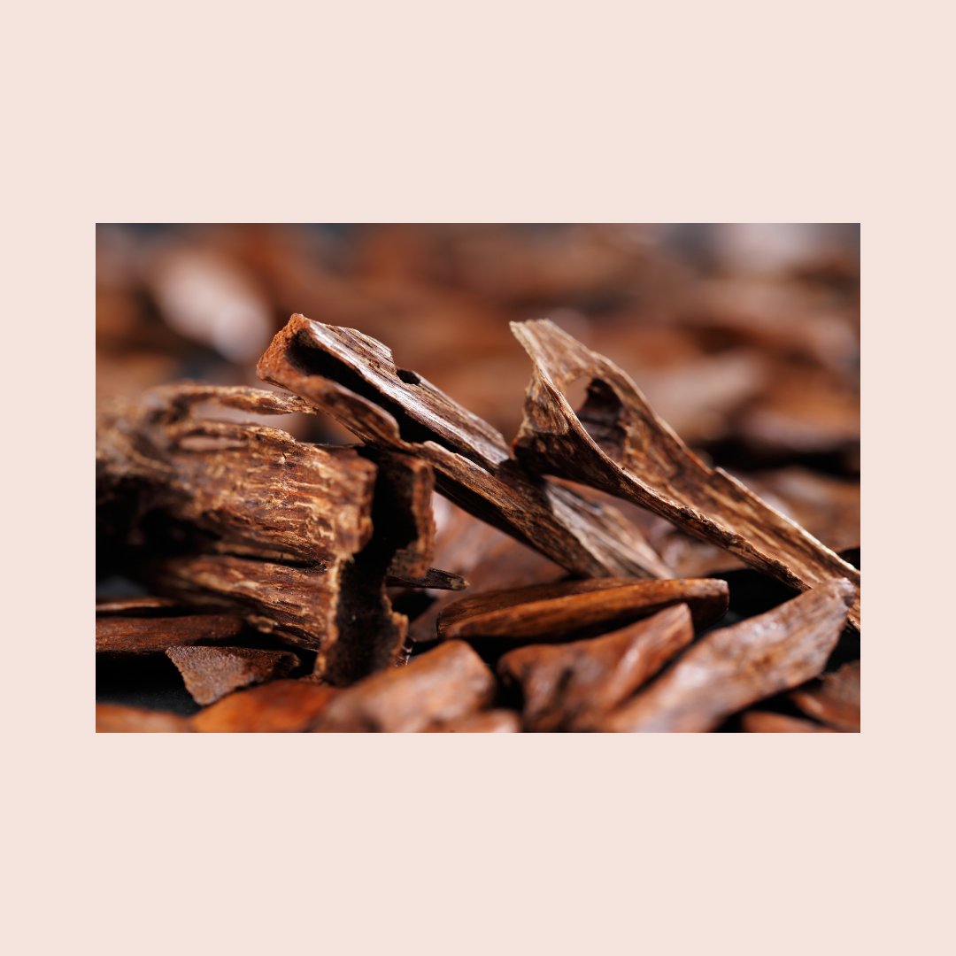hellolooshi's tweet photo. It is said aloeswood is a part of the most powerful magical incense formulas and it draws a lover closer.

And that’s why aloeswood is 1 of the ingredients that makes “Sensuous”, our incense designed to please your senses.
#FridayMotivation #fridaymorning #FridayVibes https://t.co/gBcr0eEzLL