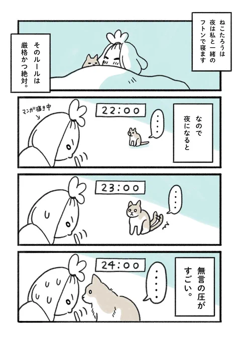 ねこの厳格かつ絶対的なルール🐱

①寝る時間が近づくと・・?

②は日曜に投稿します〜🤭

#みちこの日記   #コルクラボマンガ専科 #猫がいる暮らし 