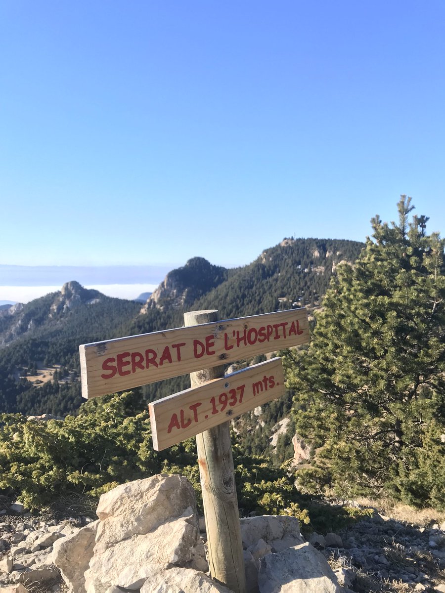 refugirasos's tweet photo. 🌤️ Rasos de Peguera per sobre el mar de núvols ⛰️

Aquests dies són ideals per recórrer els diferents camins que envolten el Xalet-Refugi i les rutes que passen per casa nostra @CamiBonsHomes i https://t.co/jOyjdDcA8v

#RasosdePeguera #Berguedà https://t.co/dh1tSCnAKQ