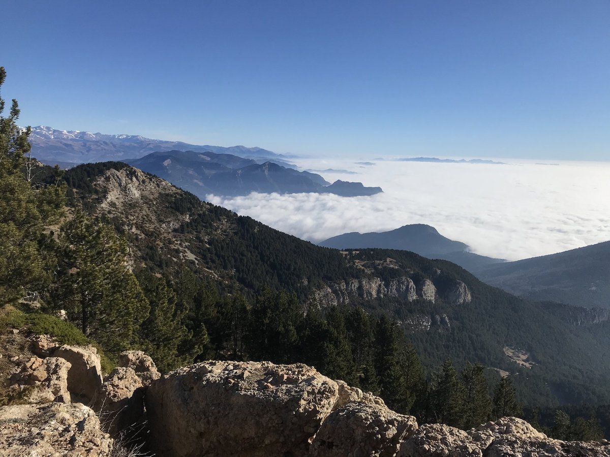 refugirasos's tweet photo. 🌤️ Rasos de Peguera per sobre el mar de núvols ⛰️

Aquests dies són ideals per recórrer els diferents camins que envolten el Xalet-Refugi i les rutes que passen per casa nostra @CamiBonsHomes i https://t.co/jOyjdDcA8v

#RasosdePeguera #Berguedà https://t.co/dh1tSCnAKQ