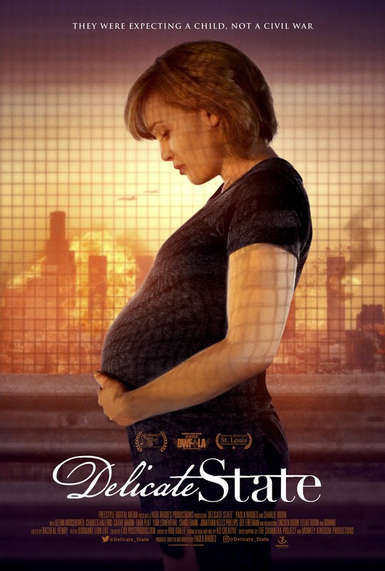 Brent_Marchant's tweet photo. @paula_rhodes "'Delicate State' fuses hope, caution and practicality," at https://t.co/KymMNvhzfJ. #BrentMarchant #consciouscreation #DelicateState #civilwar #pregnancy #PaulaRhodes #vlog #videodiary https://t.co/YVDU8ViGwy