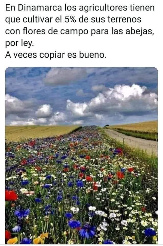 Tunquén Sustentable (@tunquensustent) on Twitter photo 