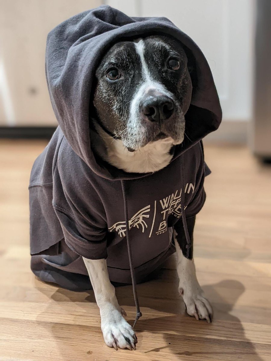 Samantha McCool tweet media