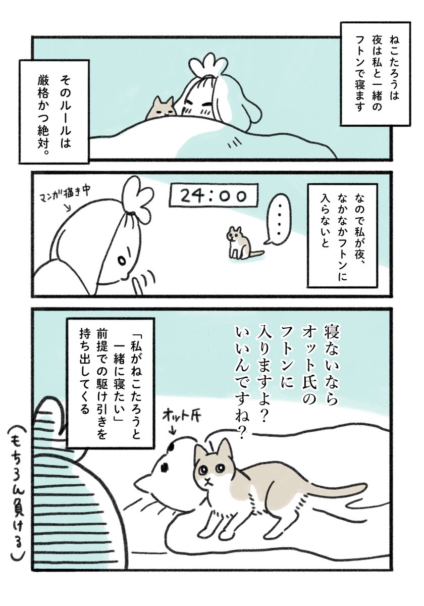 ねこの厳格かつ絶対的なルール🐱

②夜更かしするニンゲンとの駆け引き・・?

③は火曜に投稿しますね!🥸

#みちこの日記   #コルクラボマンガ専科 #猫がいる暮らし 