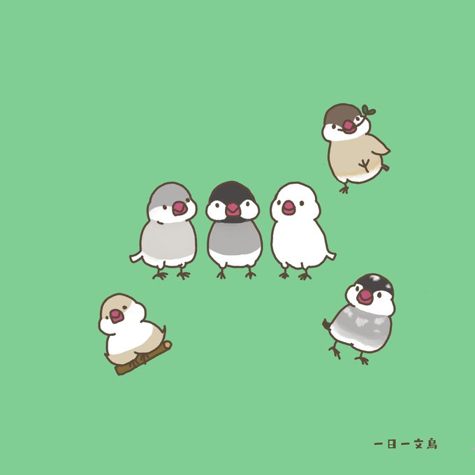 文鳥のtwitterイラスト検索結果