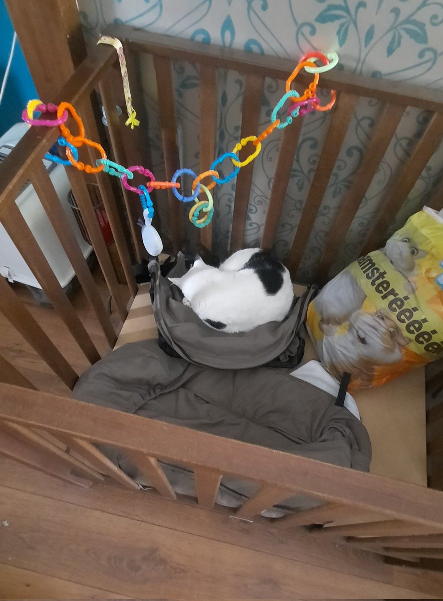 PluisjePanda's tweet photo. Als het kleine mensje niet op bezoek is, heeft vrouwtje andere spullen in de bak en mag ik er in slapen. Maar de kleine mens kan kruipen en mag nu op het kleed spelen en moest mijn favoriete slaapplek weg! Da's toch verschrikkelijk?! Gelukkig had vrouwtje de foto nog 😢 https://t.co/62VHuqH3RO