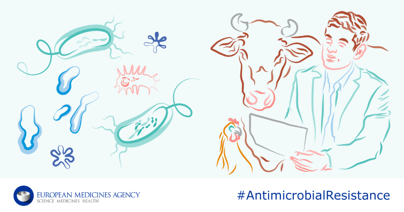 EMA_News's tweet photo. EMA has launched a public consultation on a reflection paper about limited use of antimicrobials in #animals for prevention purposes only. 🐖🐎🐱🐤

📅 Comments are welcome until 29 April 2022.

#AMR #AntimicrobialResistance #Antibiotics