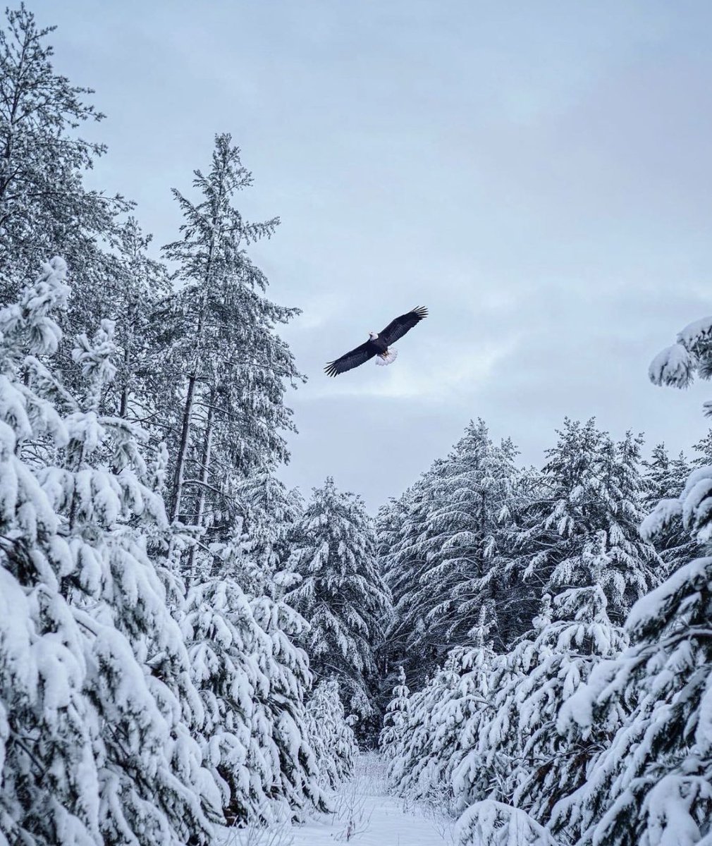 EdworthyScott's tweet photo. “When things go wrong, don't go with them.”
#Motivation #photographylovers #winter #soar https://t.co/dv8uLaVx4y