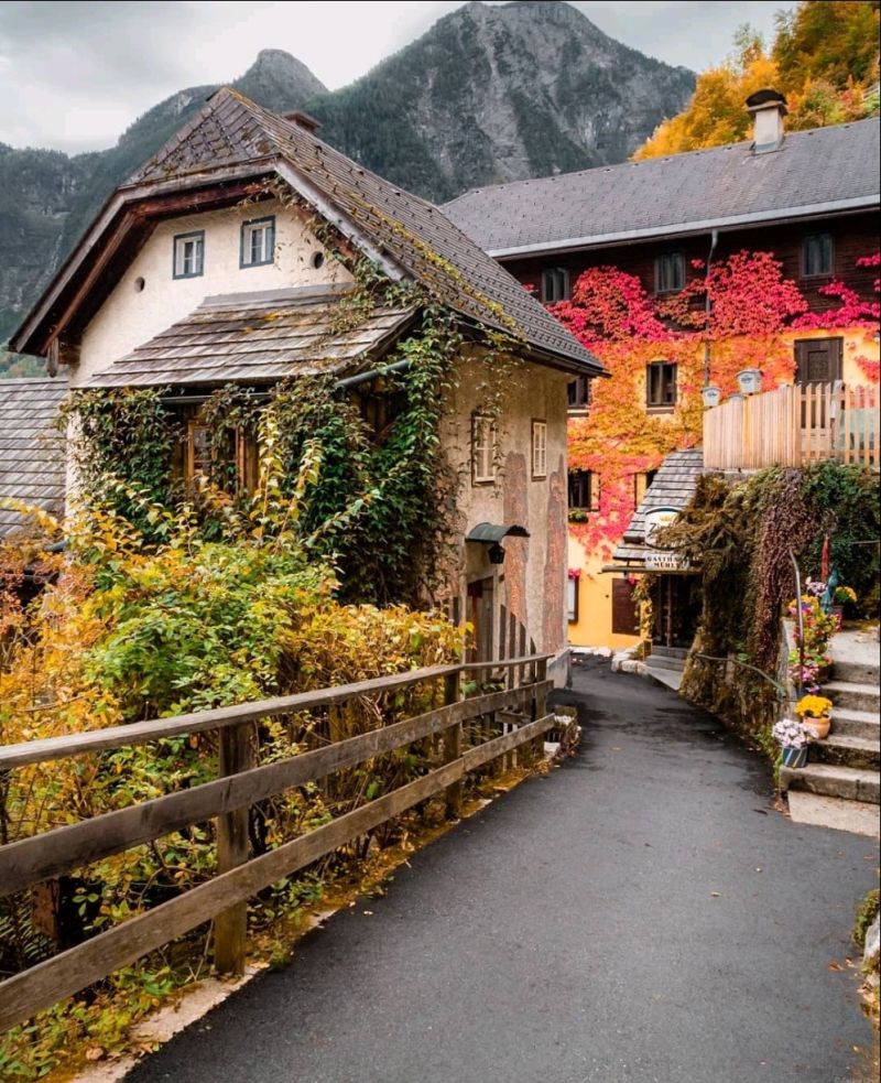 eluxurytrip's tweet photo. Hallstatt, Austria 🇦🇹
For more stunning destinations follow us @eluxurytrip 
#travel #travelphotography #worldtravel #austria #eluxurytrip https://t.co/UbY1lwxqIy