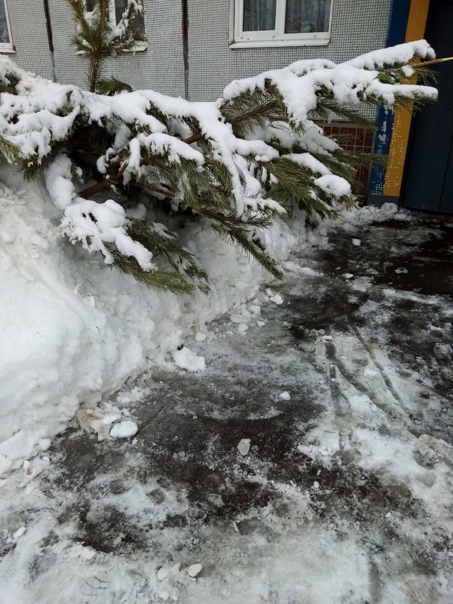 atkachevanata's tweet photo. @SamMobilePriem добрый день. Экостройресурс уже месяц не вывозят крупногабаритный мусор и Ёлки с адреса Тольятти Ворошилова д 11!!!  Требую разобраться в данной ситуации,что за пофигизм такой??? https://t.co/GUmO2pQnrW