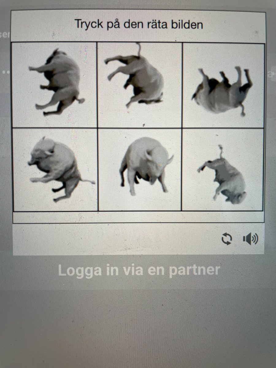 Vad betyder detta? 🤔