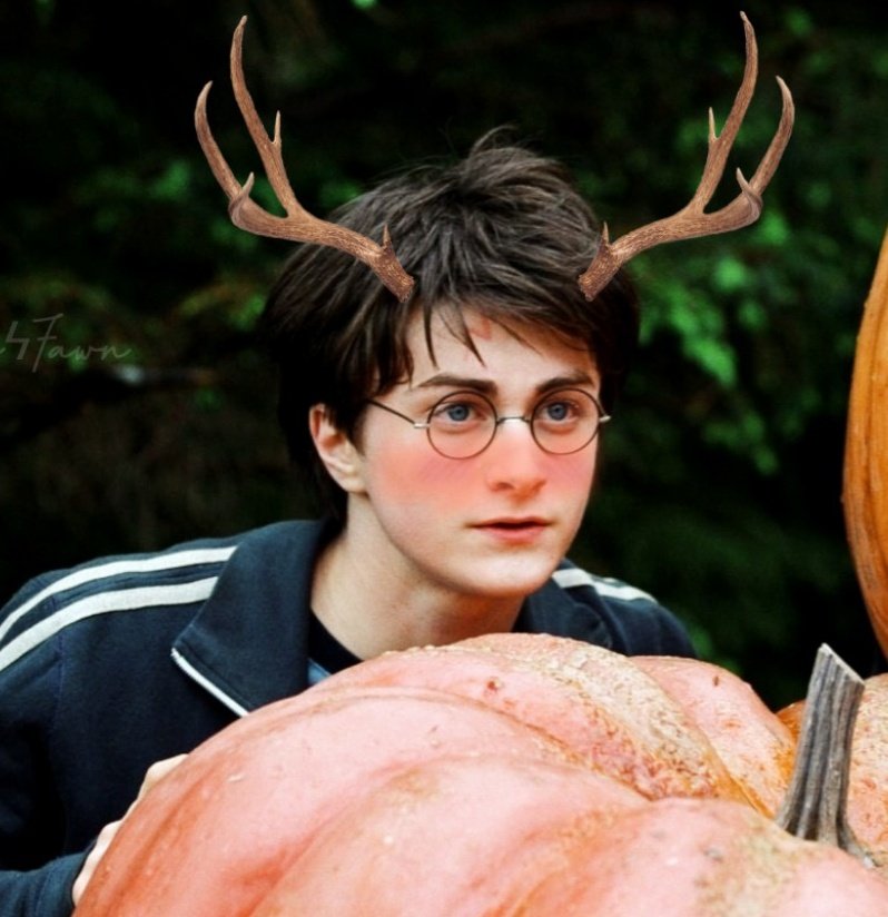 SefiKuraudo's tweet photo. HORNy Harry 🦌
#HarryPotter #bottomharry
What is he staring at? https://t.co/4KOB9Qj9pe