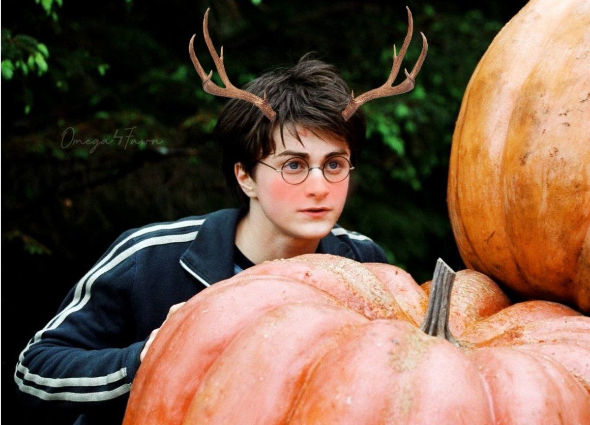 SefiKuraudo's tweet photo. HORNy Harry 🦌
#HarryPotter #bottomharry
What is he staring at? https://t.co/4KOB9Qj9pe
