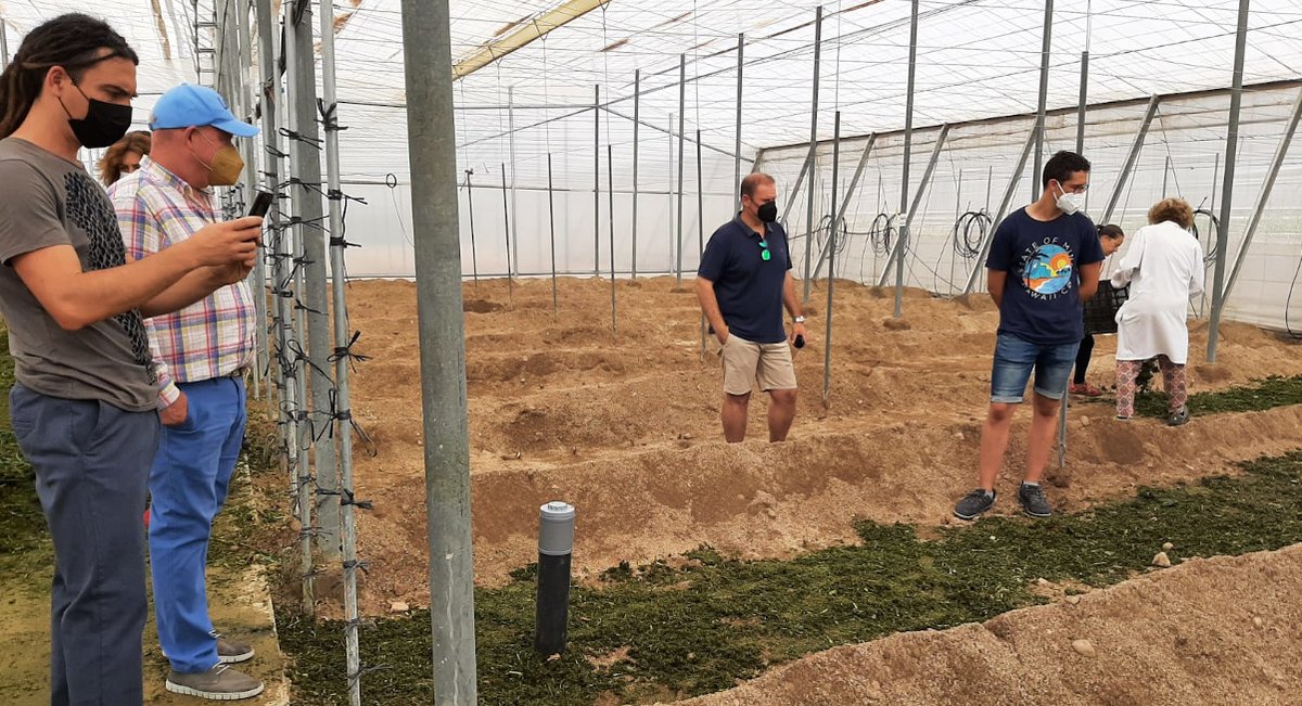 IfapaR's tweet photo. 🌍 Nuestro proyecto #Recicland es una firme apuesta por la agricultura sostenible

♻️ Te ofrecemos formación para una gestión de residuos plásticos y restos vegetales que nos permita cuidar el #medioambiente 

🧐 En breve nuestras próximas actividades 🔗https://t.co/4Xum3qjNG4 https://t.co/pmPuYUr63u