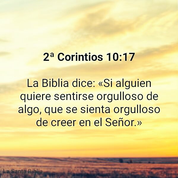 SebaNeira71's tweet photo. Orgullo: para algo bueno sirve. https://t.co/Yyo1ocTJbN