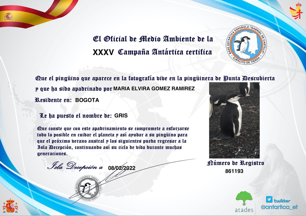 melvigomezr's tweet photo. Tengo un pingüino🐧 https://t.co/rl4yPw2JQM