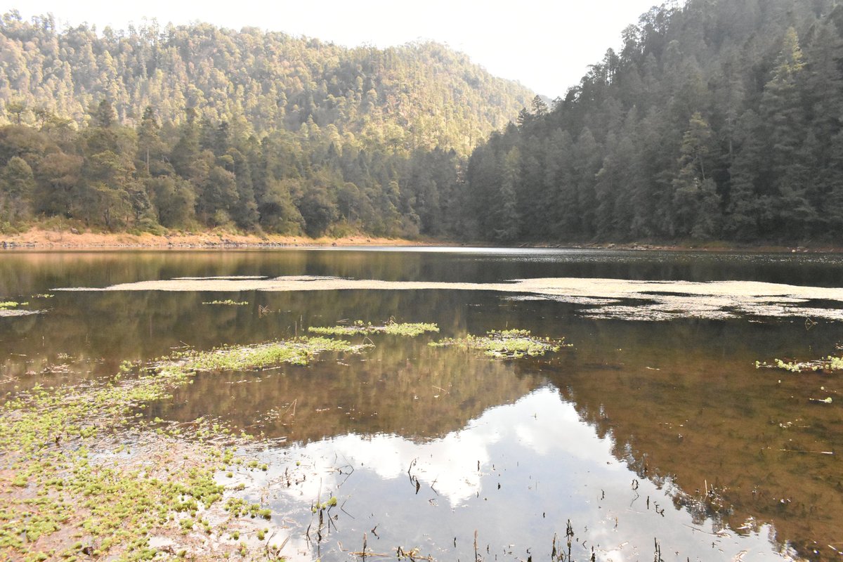 #SeAcaboElPuenteY los recuerdos quedan y la esperanza de una nueva visita <a href="/YODEBUENAS/">Miguel Barrientos Mx</a> <a href="/La99fm/">La 99 FM</a> <a href="/YoAmoLa99/">AmoLa99 💙🎶📻 #YoAmoLa99</a> @MorochoAvendano <a href="/SoyNaneii/">N a n</a> <a href="/Serena_2013/">Serena❤️</a> <a href="/diazcabelloma/">Asesor Automotriz 🚗🚘🛣️📌☕🎙️⛰️🚲🏕️</a> <a href="/Chigolin_/">Chigolin</a> <a href="/ErennChU/">𝓔𝓻𝓮𝓷 𝓒𝓱𝓪𝓿𝓮𝔃 ★🔥</a> <a href="/YadiraUriosteg1/">YadiraUriostegui</a> <a href="/maruka232/">🇲 🇦 🇷 🇺 🇰 🇦 Laguna</a>