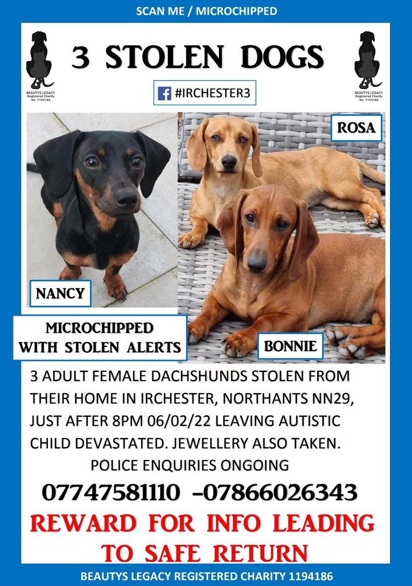 beautys_legacy's tweet photo. 💔URGENT💔 9 yr old #autistic child left terrified and traumatised after his #sausagedogs were stolen from his home in an evening burglary while he had dinner with his mum. #irchester3 #petabduction #AutismAwareness #mentalhealth @BBCNorthampton @NorthantsPolice @ChronandEcho https://t.co/yRLylSd1pt