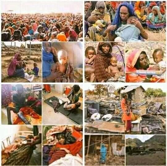 HararMety's tweet photo. በኢትዮጵያ ምድር የሰው ልጅ ክብሩን አጥቷል ነብሱም ረክሷል! ያ ኢላሂ አንተው ፍረድ! https://t.co/zG7wym9iPI