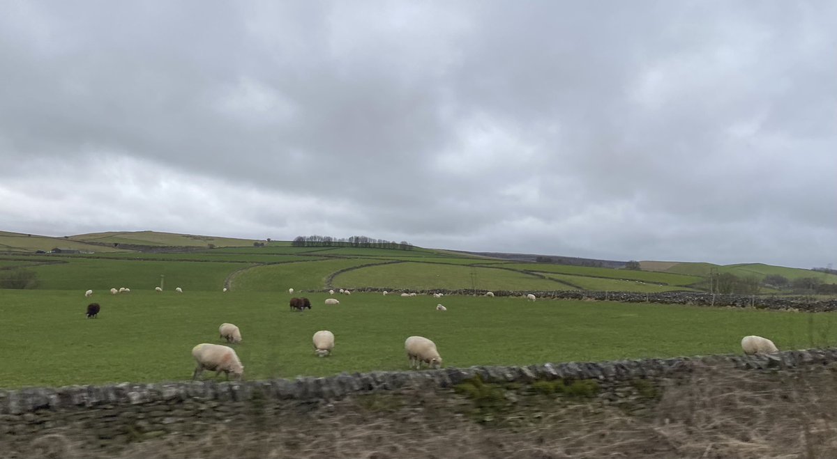 Alastair Driver tweet media