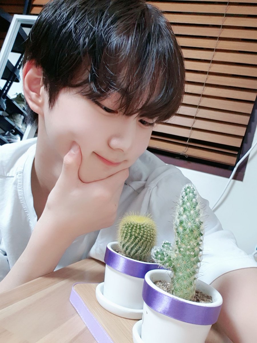 sunlighthyuck00's tweet photo. Happy birthday Jungwon❤
🎂HAPPY JUNGWON DAY🎂
OUR FEBRUARY LOVE JUNGWON
#JUNGWONInAMillion 
#HAPPY_BIRTHDAY_JUNGWON
#겨울에_태어난_짱정원_생쭈고
#천재고양이_아기리더_마음이형아 #ENHYPEN #JUNGWONInAMillion   @ENHYPEN_members @ENHYPEN https://t.co/62M2PSAnRh