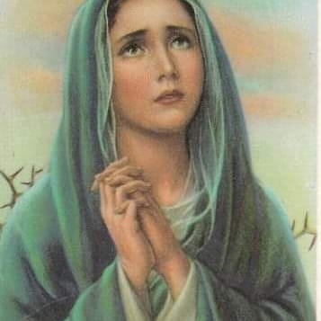R_MariadeIsrael's tweet photo. Dios  te salve María llena eres de gracia,  tesoro de bondades, el señor es contigo y en su amor se complace. Bendita eres entre  esposas y madres y bendito es el fruto de tu ideal enlace. Oh Santa María madre de Jesús ruega por nosotros.
#temploespiritualmariadeisrael https://t.co/OUokDHfnsd