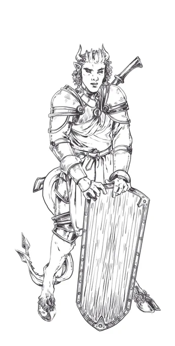 finished paladin commission 