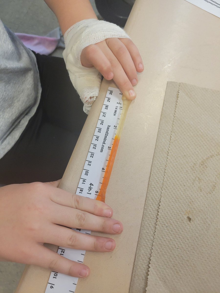 SolleyAACPS's tweet photo. Our third grade students in Ms. Oswinkle’s class measured gummy worms using a 1/4 inch ruler. 🪱 Math is sweet! @AACPS_PK5Math @AACountySchools https://t.co/8xdId8EQS4