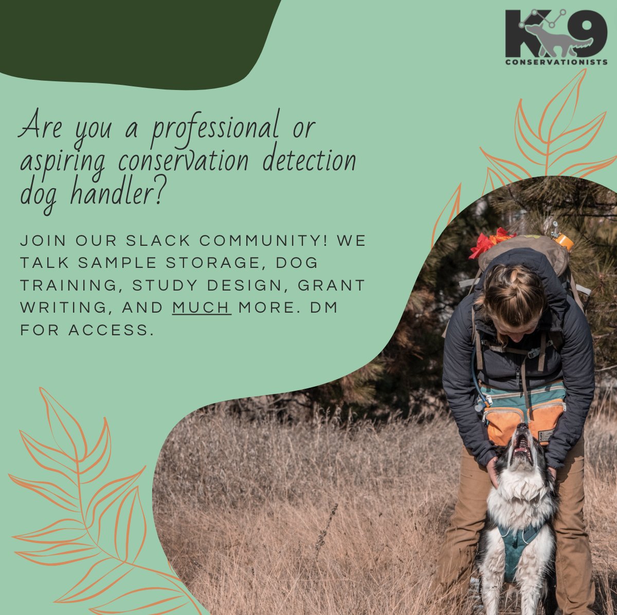eco_odorologist's tweet photo. Are you a professional or aspiring conservation detection dog handler? This field can be pretty isolating - most of us work alone all day and many of us are private contractors. (1/2) https://t.co/nTv4DrpItD