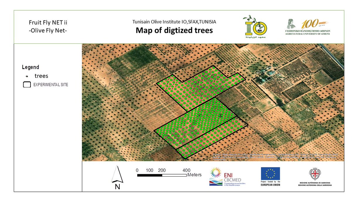 The Institut de l'Olivier, <a href="/fruitflynet2/">FruitFlyNet-ii</a> @ENICBCMed partnern completed the digitization of the Experimental Station Taous, located in the region of Sfax, Tunisia, a step forward the creation of a geodatabase for the operation of LA (Location Awareness) services.