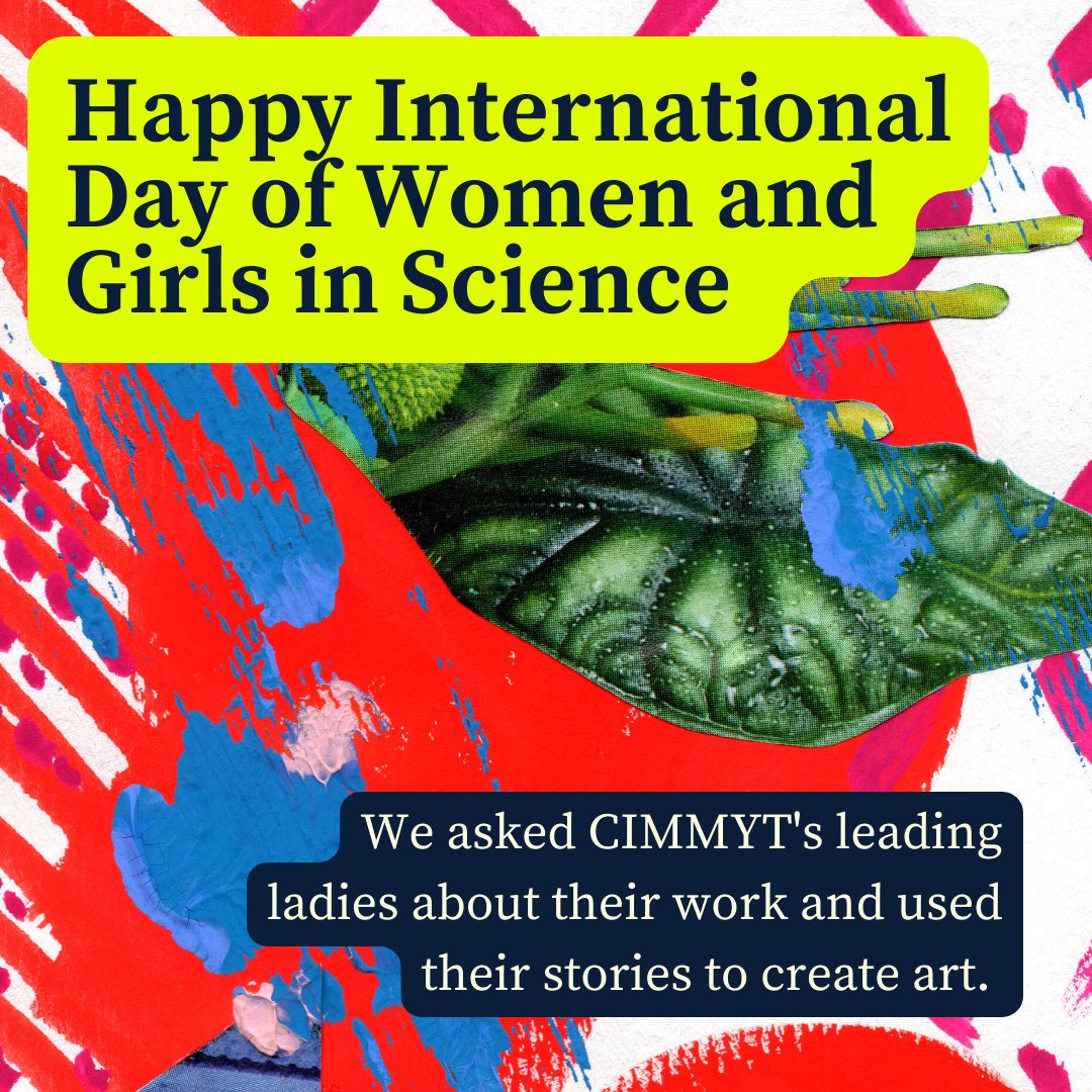 CIMMYT's tweet image. Join us this week as we celebrate Intl. Day of Women &amp;amp; Girls in Science! ⚛️

From today till Feb. 16, we&apos;ll be featuring 7️⃣ women scientists who are breaking down boundaries &amp;amp; leading change @ #CIMMYT.

Ready to know ➕ about their work?

#WomenInScience | #WomenInspiringWomen