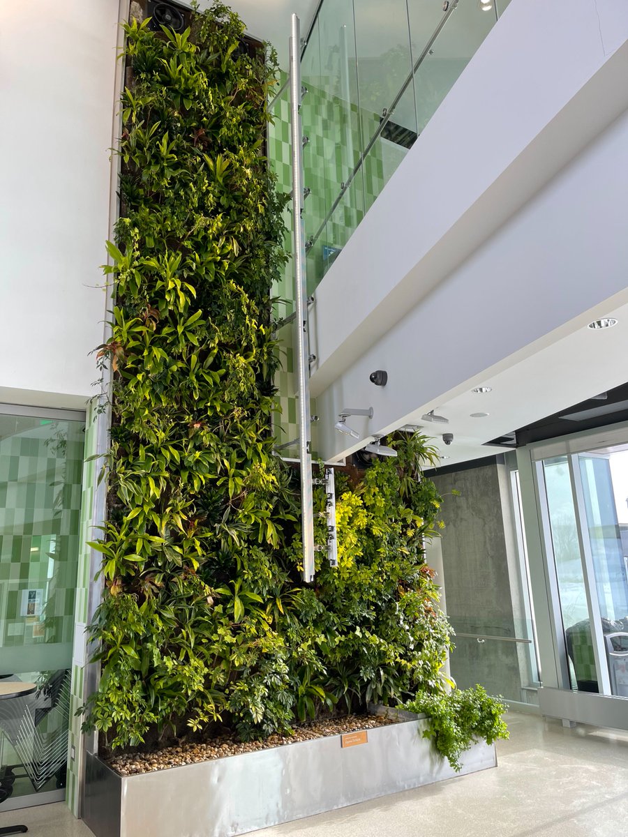 GroupNedlaw's tweet image. A #NedlawLivingWalls Project: @durhamcollege 
Whitby, ON
Our #LivingWall #Biofilters can be designed for virtually any space. We work with you on the design and configuration. Large or small, the basic construction is consistent and inherently flexible. Nedlaw.ca