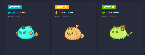 BecasViajeras's tweet photo. Hey, Axie community we have those teams ready for a scholar so DM US 😊😊😊

#AxieInfinity  #SLP #ScholarshipOpportunity #AxieScholarships  #BecasAxie #AxieinfinityScholarship #AxieScholar #Axie https://t.co/CgosCMKnDH https://t.co/Z8zTdKmauq https://t.co/QLg2b5nolo