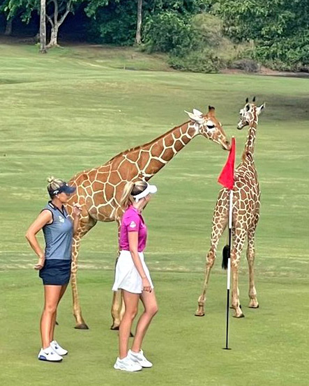 Hello from the <a href="/KenyaLadiesOpen/">Magical Kenya Ladies Open</a>. 😳

(Via <a href="/CharlesGacheru/">Charles Gacheru</a>)