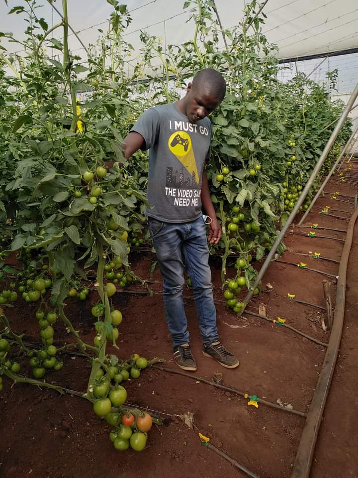 Passion in farming is when your interest is to make a difference not money. #Letsgrowtogether