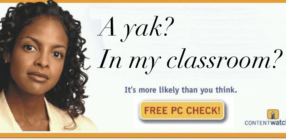 kylebuchanan's tweet photo. Investing in LUNANA memes https://t.co/WuzpYxeg14