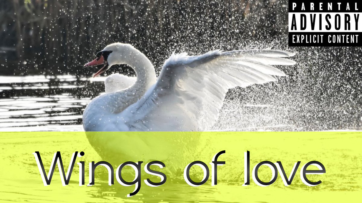 Its_True_Gossip's tweet photo. Has #Greece 🇬🇷 already decided on an entry for @briseiswan ?

Rumours are pointing that it will be called 'Wings of love' by cypriot composers. This is a replica of the song cover

@greece_not is yet to confirm or deny these rumours. Is Wings of love their entry for @Eurovisnt ? https://t.co/Yrf4bkoadk