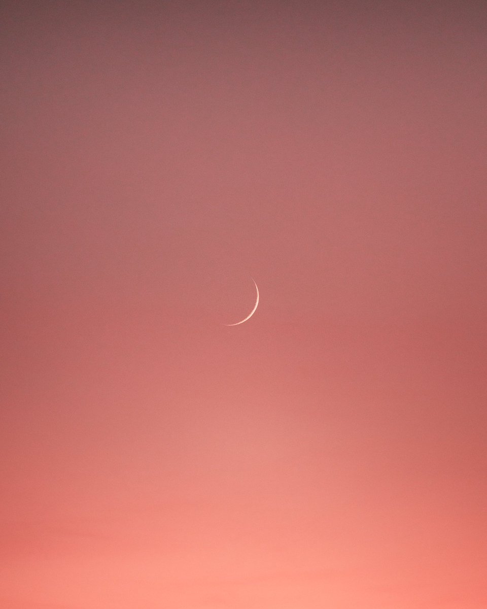 under the desert sky
