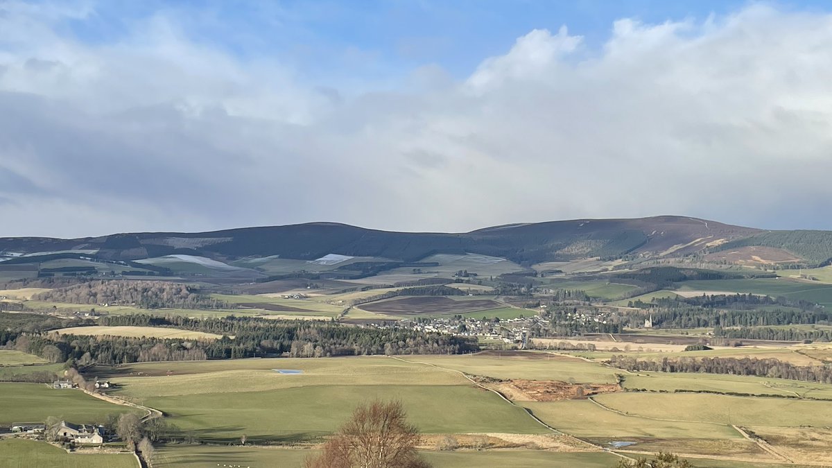 m66sdd's tweet photo. Out walking #morven #aberdeenshirewalks #visitabdn #visitscotland #theshire #scotland #ourscotland https://t.co/AlAe5bwU1p