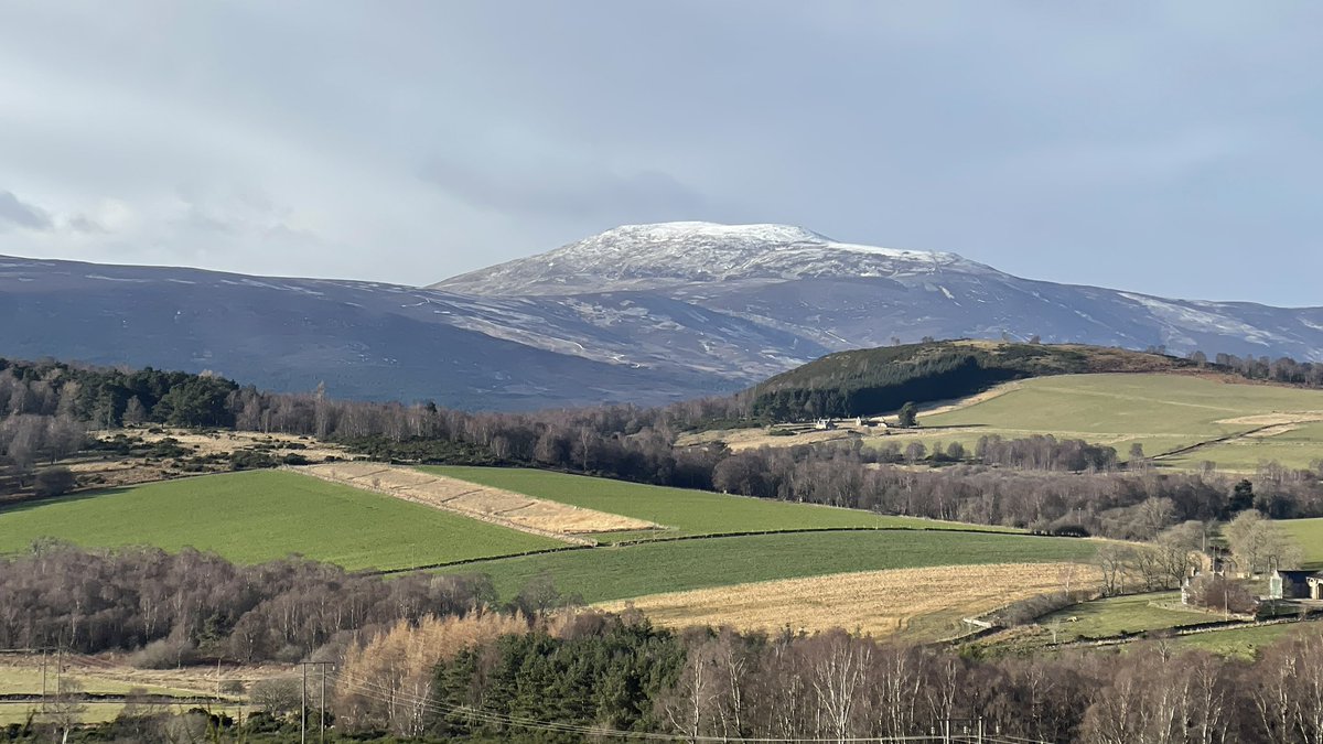 m66sdd's tweet photo. Out walking #morven #aberdeenshirewalks #visitabdn #visitscotland #theshire #scotland #ourscotland https://t.co/AlAe5bwU1p
