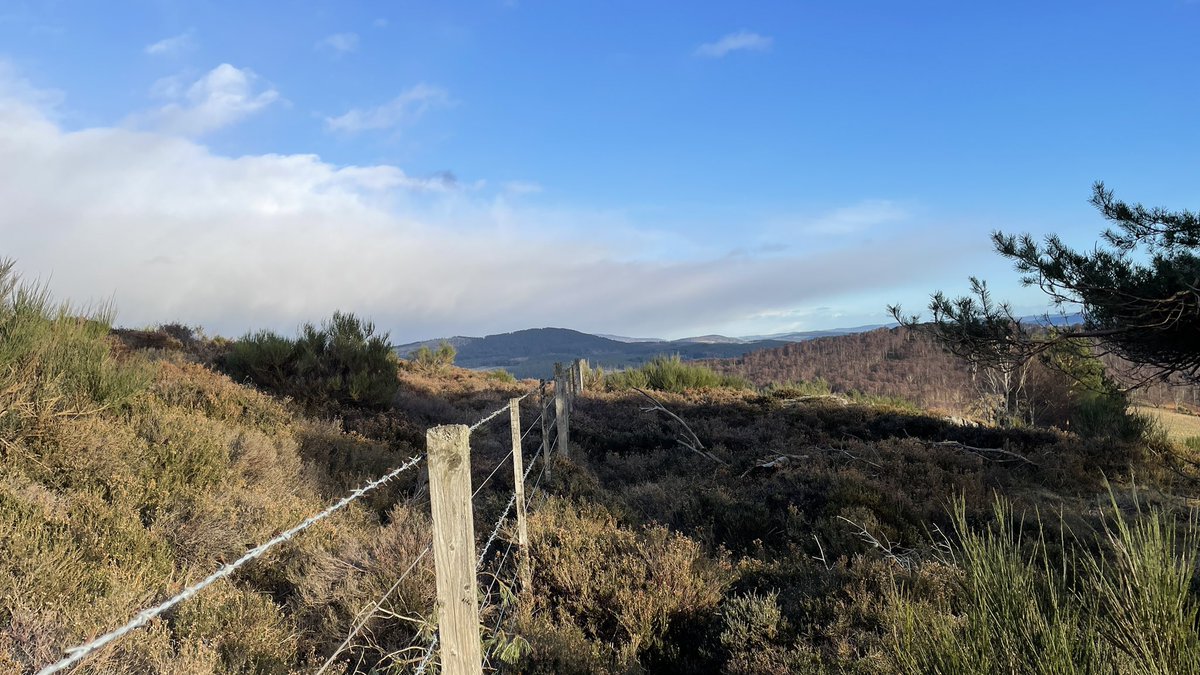 m66sdd's tweet photo. Out walking #morven #aberdeenshirewalks #visitabdn #visitscotland #theshire #scotland #ourscotland https://t.co/AlAe5bwU1p